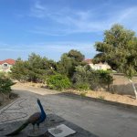 Kirayə (aylıq) 4 otaqlı Həyət evi/villa, Bilgəh qəs., Sabunçu rayonu 17