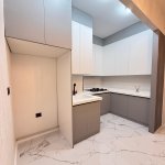 Аренда 10 комнатная Офис, м. 20 Января метро, Насими район 11