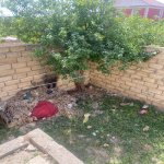 Продажа 3 комнат Дома/Виллы, м. Короглу метро, Сабунчу район 15