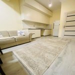 Kirayə (aylıq) 2 otaqlı Yeni Tikili, 28 May metrosu, Nəsimi rayonu 8