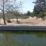 Satılır Torpaq, Şüvəlan, Xəzər rayonu 3