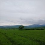 Satılır Torpaq İsmayıllı 13