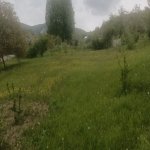 Satılır Torpaq İsmayıllı 9