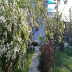 Satılır 6 otaqlı Bağ evi, Novxanı, Abşeron rayonu 16