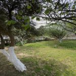 Kirayə (aylıq) 6 otaqlı Həyət evi/villa, Elmlər akademiyası metrosu, Səbail rayonu 25