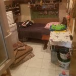 Kirayə (aylıq) 1 otaqlı Həyət evi/villa, Elmlər akademiyası metrosu, Yasamal rayonu 1