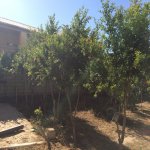 Satılır 7 otaqlı Həyət evi/villa, Saray, Abşeron rayonu 13