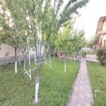 Kirayə (günlük) 8 otaqlı Həyət evi/villa Qəbələ 23