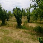 Продажа Участок Гябяля 3