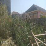 Satılır Torpaq, Masazır, Abşeron rayonu 5