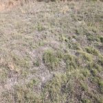 Satılır Torpaq, Nardaran qəs., Sabunçu rayonu 2