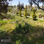 Kirayə (aylıq) 5 otaqlı Bağ evi, Şüvəlan, Xəzər rayonu 3