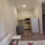 Kirayə (günlük) 1 otaqlı Yeni Tikili, Nizami metrosu, Nizami rayonu 11
