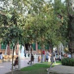 Kirayə (aylıq) Obyekt, Sahil metrosu, Səbail rayonu 1