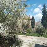 Satılır 3 otaqlı Bağ evi, Buzovna, Xəzər rayonu 24