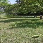 Satılır Torpaq Qəbələ 34