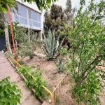 Satılır 6 otaqlı Bağ evi, Buzovna, Xəzər rayonu 22