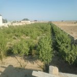 Продажа Участок, Зиря, Хязяр район 1