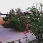 Kirayə (günlük) 3 otaqlı Həyət evi/villa İsmayıllı 19