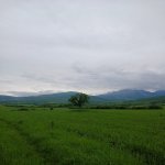Продажа Участок Исмаиллы 13