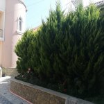 Satılır 6 otaqlı Həyət evi/villa, Mərdəkan, Xəzər rayonu 7