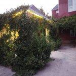 Продажа 9 комнатная Дома/Виллы, Бузовна, Хязяр район 1