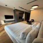 Посуточно 1 комнатная Новостройка, пос. Сабунчу, Сабунчу район 4