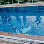 Kirayə (günlük) 6 otaqlı Bağ evi, Novxanı, Abşeron rayonu 1
