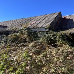 Satılır Torpaq Şamaxı 10