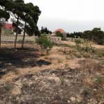 Satılır Torpaq, Mərdəkan, Xəzər rayonu 5