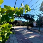Satılır 6 otaqlı Bağ evi, Şüvəlan, Xəzər rayonu 17