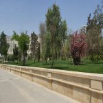 Satılır Torpaq, Ağ şəhər, Xətai rayonu 19