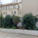 Kirayə (aylıq) 2 otaqlı Yeni Tikili, Nəriman Nərimanov metrosu, Nərimanov rayonu 26