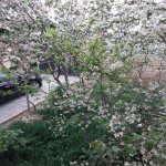 Satılır 4 otaqlı Həyət evi/villa, Mehdiabad, Abşeron rayonu 6