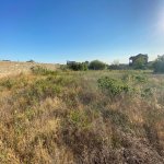Satılır Torpaq, Maştağa qəs., Sabunçu rayonu 8