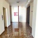 Продажа 3 комнатная Новостройка, м. Эльмляр Академиясы метро, Ясамал район 17