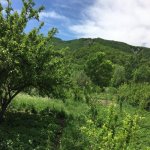 Satılır 5 otaqlı Həyət evi/villa Xızı 17