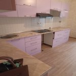 Kirayə (aylıq) 1 otaqlı Yeni Tikili, Nəriman Nərimanov metrosu, Nərimanov rayonu 4