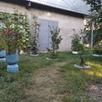 Kirayə (günlük) 2 otaqlı Həyət evi/villa Quba 17