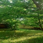 Kirayə (günlük) 4 otaqlı Bağ evi Qəbələ 19