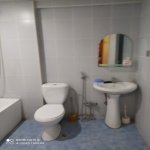 Kirayə (aylıq) 1 otaqlı Yeni Tikili, Gənclik metrosu, Nərimanov rayonu 6