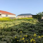 Satılır Torpaq, Novxanı, Abşeron rayonu 5