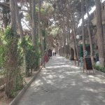 Kirayə (aylıq) Obyekt Xırdalan 1