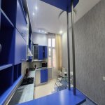Kirayə (aylıq) 5 otaqlı Yeni Tikili, Gənclik metrosu, Nərimanov rayonu 14