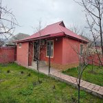Kirayə (günlük) 3 otaqlı Həyət evi/villa Qəbələ 1