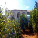 Satılır 8 otaqlı Bağ evi, Pirallahı, Pirallahı rayonu 1