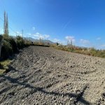 Satılır Torpaq Şabran 7