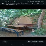 Kirayə (günlük) 3 otaqlı Bağ evi, Abşeron rayonu 22