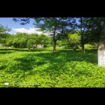 Satılır Torpaq Qəbələ 4