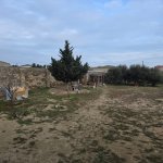 Аренда 2 комнатная Дома/Виллы, пос. Маштага, Сабунчу район 25